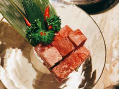 -汤城·料青山