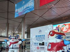 -哈尔滨太平国际机场-T2航站楼