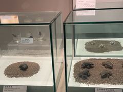 -青藏高原自然博物馆