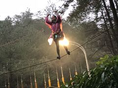 -梦幻奥陶纪景区