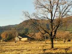 -塔川景区