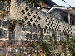 -黄瓜箐温泉疗养院
