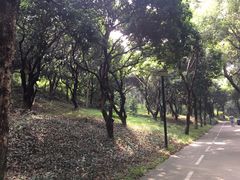 -燕晗山郊野公园