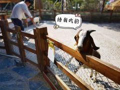-珠海海泉湾神秘岛亲子乐园