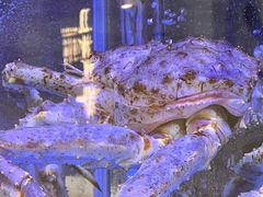 -喜记顺德菜(南昌万象城店)
