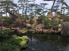 景点-罗红摄影艺术馆