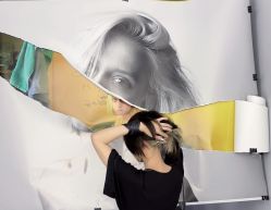 -Hair  Gallery