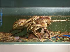 -万龙洲海鲜(大兴绿地缤纷城店)