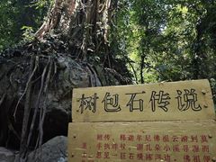 -莫里热带雨林景区