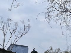 -武汉园博园(武汉自然博物馆)
