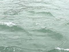 -鼓浪屿内厝澳码头(轮渡站)