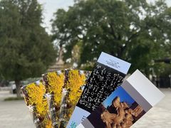 -北京石刻艺术博物馆(五塔寺)
