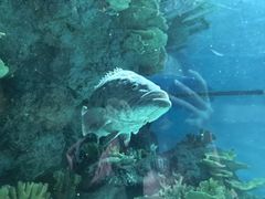 -福州罗源湾海洋世界旅游区