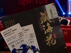 -舞台剧盗墓笔记-藏海花