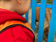 -北京市丰台区阳光起点锦城幼儿园(丰台园)