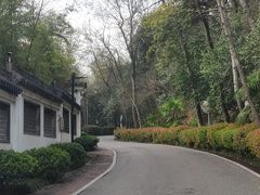 -北极阁公园