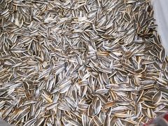 -栗满秋(燕丰西坝河店)