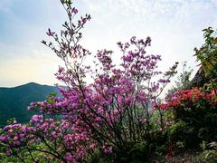 -井冈山风景名胜区