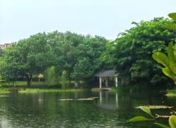 -广州市儿童公园