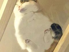 -Best U照相馆·企业外拍部(环球港店)