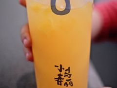 -春丽小马(济南恒隆广场店)