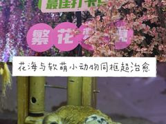 -正佳雨林生态植物园