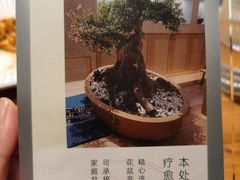 -本处·素食·融合料理(南油店)