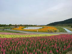 -径山花海