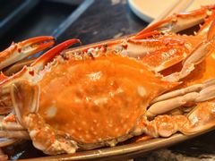-牛New寿喜烧(新六百店)