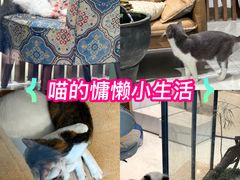 -银泰百货(厦门国贸中心店)