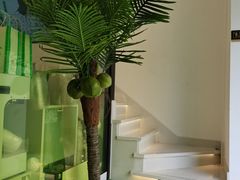 -茶大椰·椰子茶(星悦荟店)