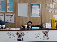 -谐和益家动物医院·免疫绝育·血液透析·宠保定点医院(高新伊藤分院)