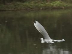 -新江湾城公园
