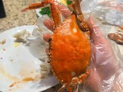-禾斗海鲜自助(市南银座店)