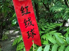 -晶宝温泉农庄