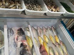 -福建美食城(老君堂店)