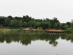 -东郊湿地公园