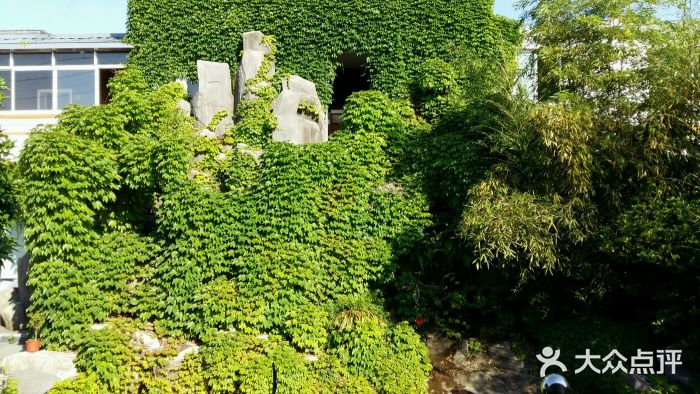 文人墨客农庄内院绿化图片