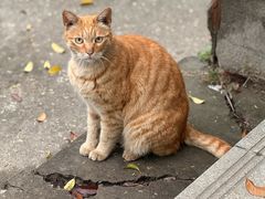 -玉塘村小杨馄饨