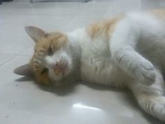 -三品香·江浙菜(松江九谊店)