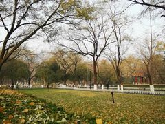 -山东大学(趵突泉校区)