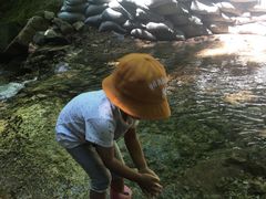 -本溪汤沟绿石谷森林公园