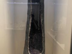 -安徽省地质博物馆