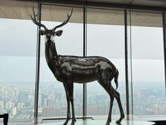 -北京柏悦酒店·锦庭餐厅Dining Room