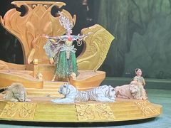 -广州长隆国际大马戏