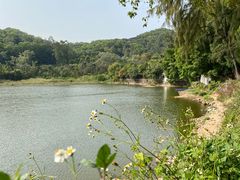 -火炉山森林公园