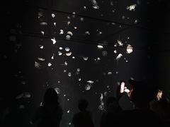 -大阪海游馆