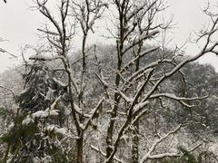 -九峰山