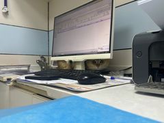 -中农国际动物医院24小时·猫科·骨科·急重症中心