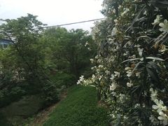 -江南大学(蠡湖校区)